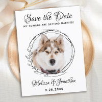 Mes humains se marient Chien Mariage animal de com