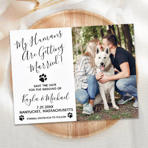 Carte Postale Faire-part Mes humains se marient Robe de mariage pour chien