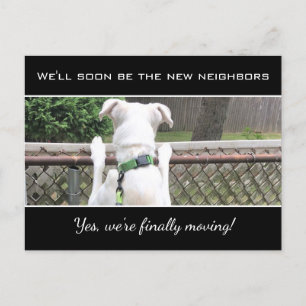 Carte Postale Faire-part Mignon Chien Blanc Curieux Espionnant Les Voisins 