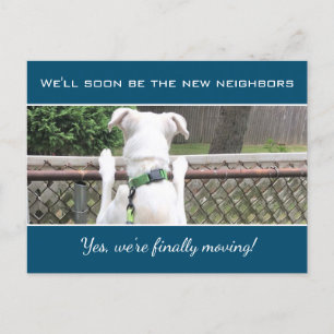 Carte Postale Faire-part Mignonne Nosey Chien Chien Chien Blanc Espion Sur