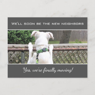Carte Postale Faire-part Mignonne Nosey Chien Chien Chien Blanc Espion Sur