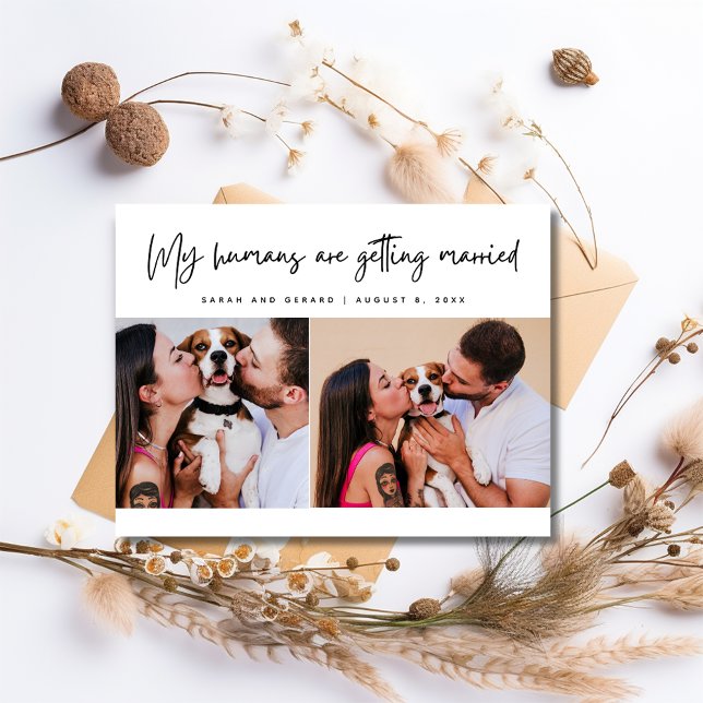 Carte Postale Faire-part My Humans Dog Photo Wedding Save the Date (My Humans Dog Photo Wedding Save the Date Announcement Postcard)