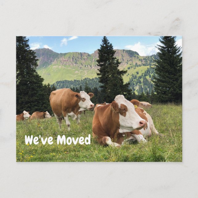 Carte Postale Faire-part Nous avons déménagé la maison de la ferme Ranch pâ (Devant)