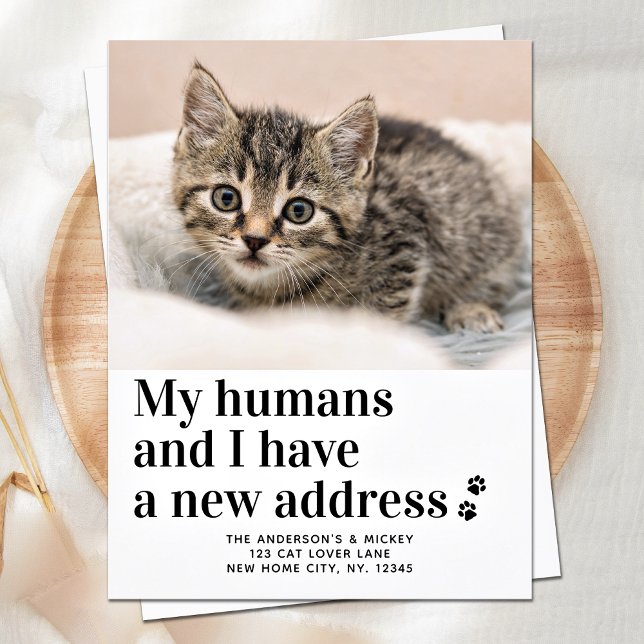 Carte Postale Faire-part Nous avons déménagé Nouvelle adresse Photo de chat (Créateur téléchargé)