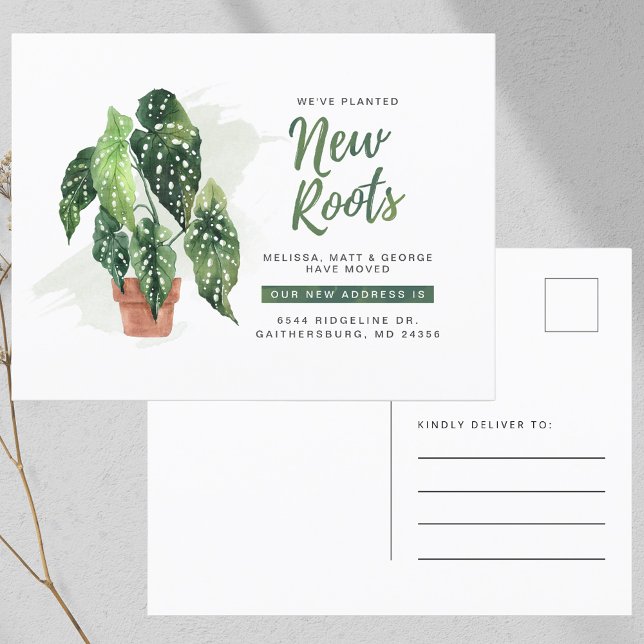 Carte Postale Faire-part Nous avons déplacé le changement d'adresse (We've Moved Change of Address Moving Announcement Postcard)