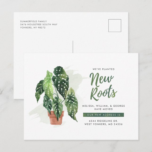 Carte Postale Faire-part Nous avons déplacé planté de nouvelles racines Mov (Devant / Derrière)