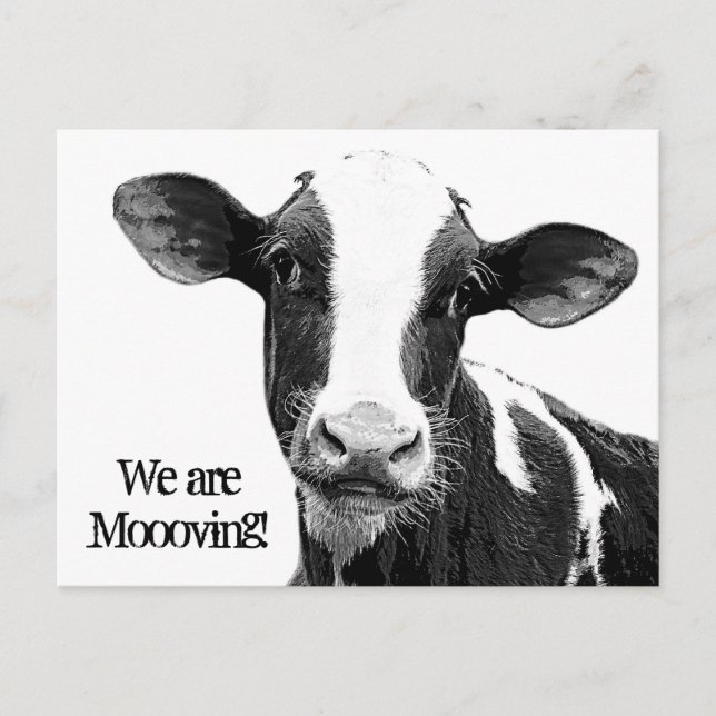 Carte Postale Faire-part Nous bougeons ! Changement d'adresse Vache (Devant)