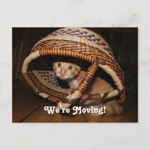 Carte Postale Faire-part Nous déplaçons le chat