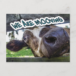 Carte Postale Faire-part Nous sommes Mooving