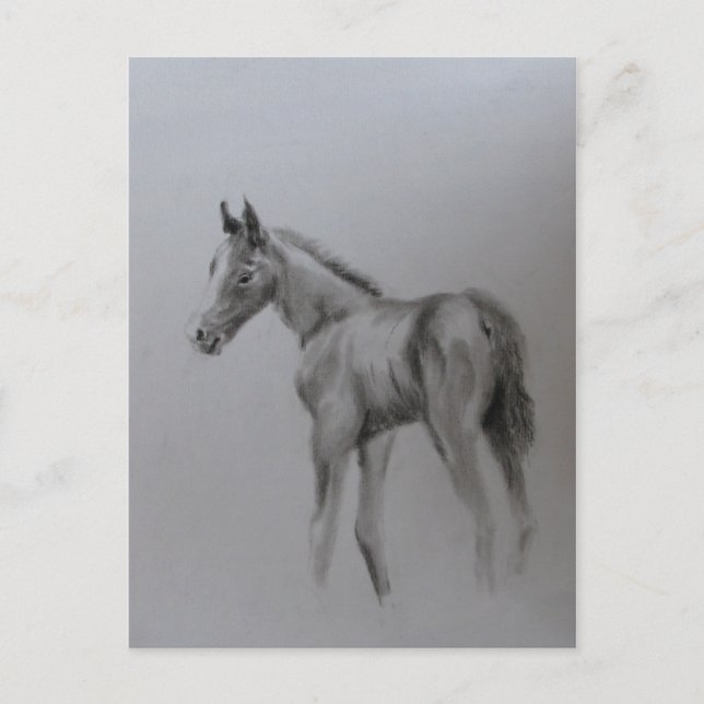 Carte Postale Faire-part Nouveau bébé (Devant)