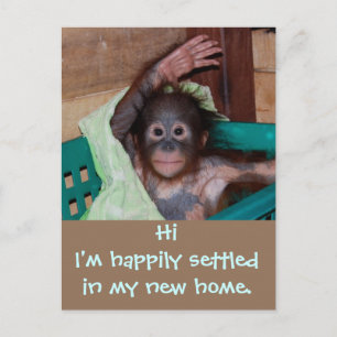 Carte Postale Faire-part Nouveau changement d'adresse à la maison mignon