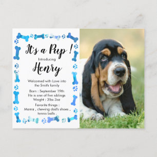 Carte Postale Faire-part Nouveau Chiot - Nouveau Animal - Chien Bleu Annive