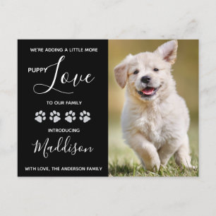 Carte Postale Faire-part Nouveau chiot pour animaux