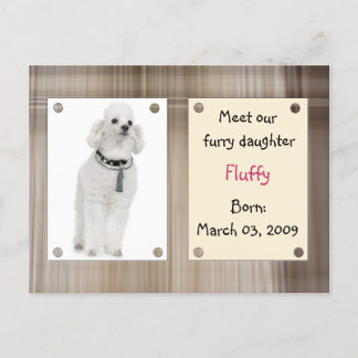 Carte Postale Faire-part Nouveaux animaux familiers de rassemblement