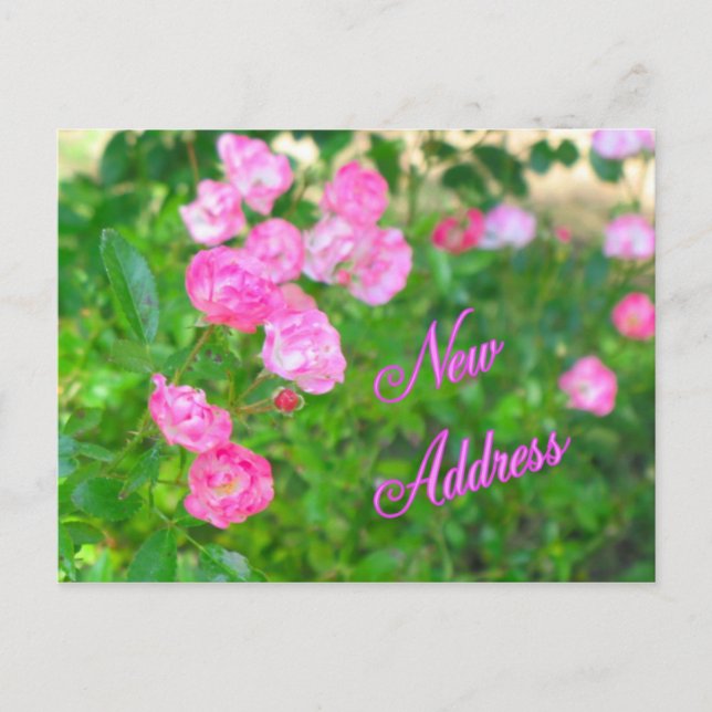 Carte Postale Faire-part Nouvelle adresse (Devant)