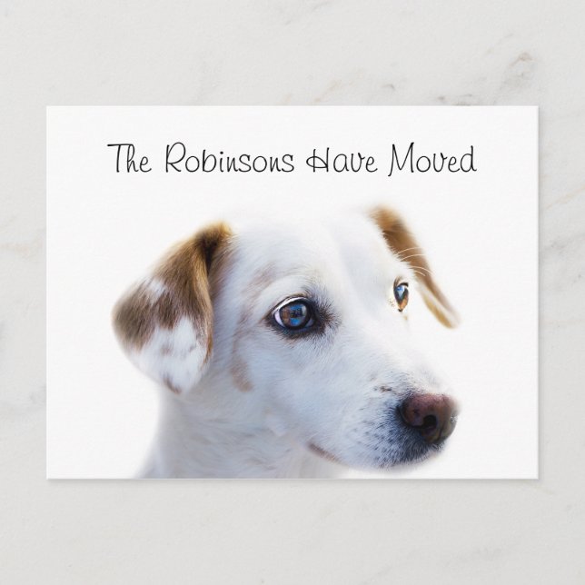 Carte Postale Faire-part Nouvelle Adresse Chiot Mignon (Devant)