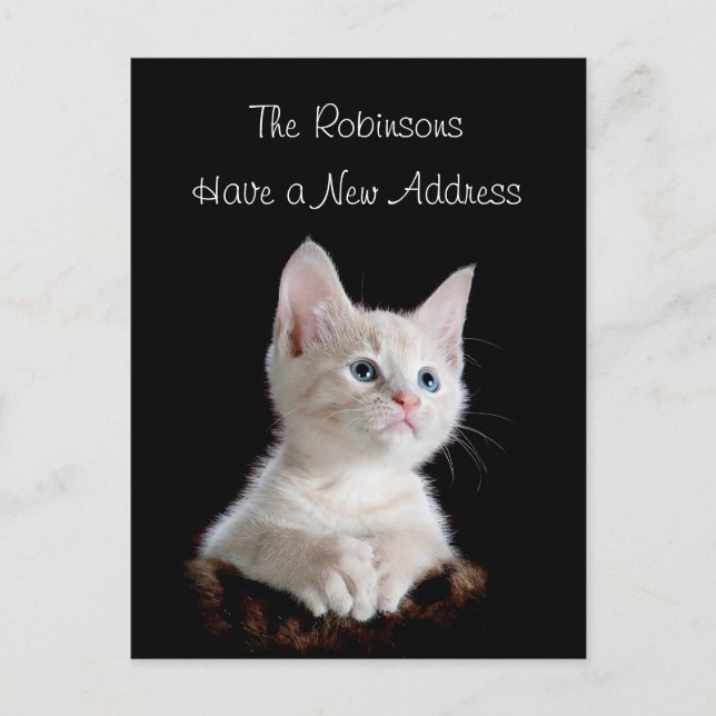Carte Postale Faire-part Nouvelle Adresse de Chat Mignon (Devant)