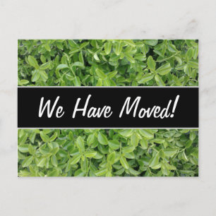 Carte Postale Faire-part Nouvelle maison; arbuste à haie verte Type Plante 