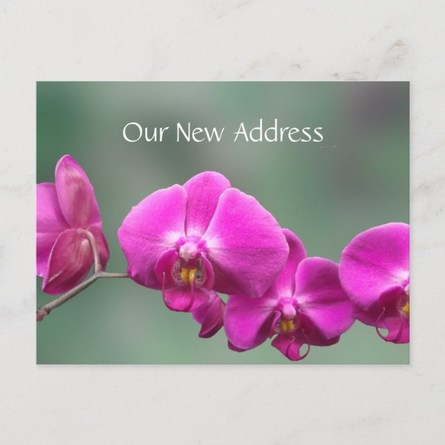 Carte Postale Faire-part Nouvelles coordonnées Orchidées roses (Devant)