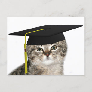 Carte Postale Faire-part Obtention du diplôme de chaton