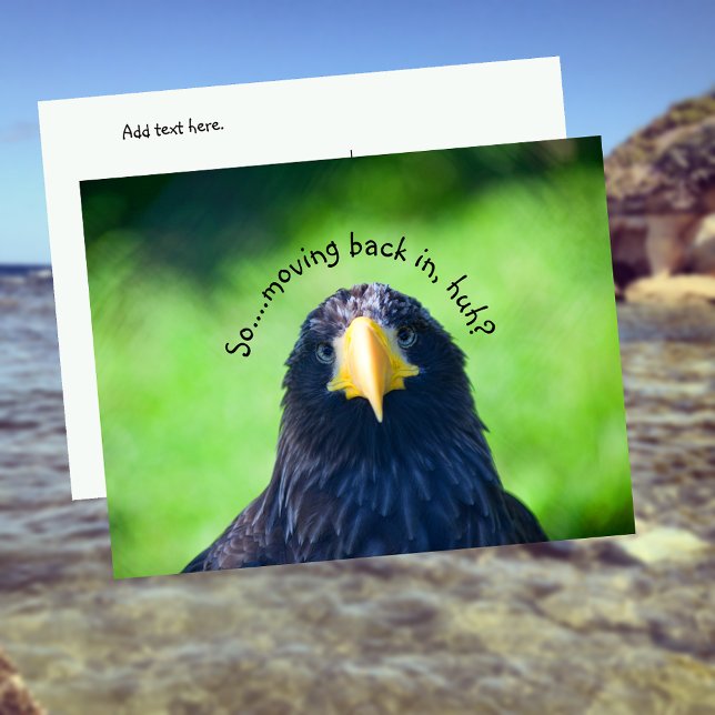 Carte Postale Faire-part Oiseau balbuzard drôle•Personnalisé (Créateur téléchargé)
