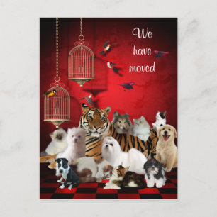 Carte Postale Faire-part Oiseaux & Chats et Cages Rouge, Nous avons déplacé