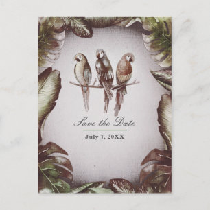 Carte Postale Faire-part Oiseaux de Tiki Tropicaux Vintage Perroquets Faire