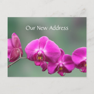 Carte Postale Faire-part Orchidées roses Nouvelle adresse