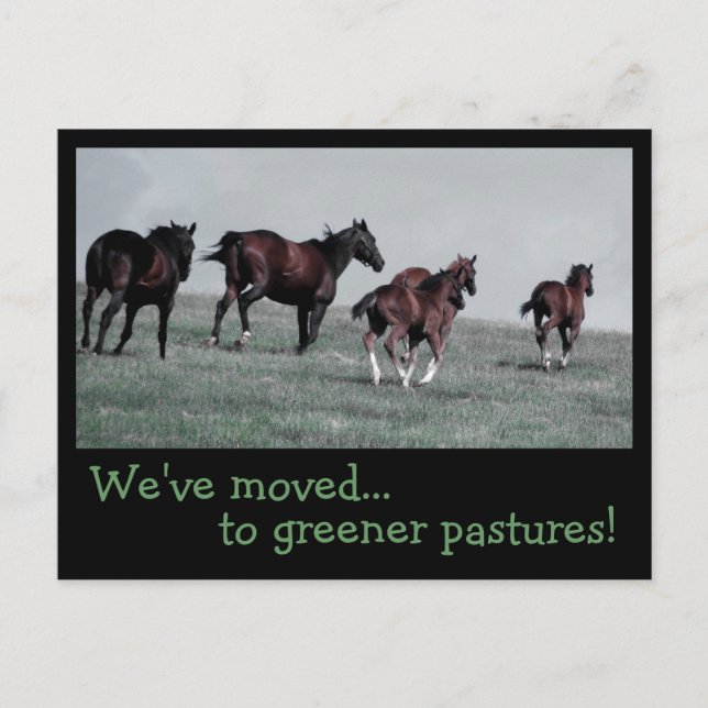 Carte Postale Faire-part Pâturages plus verts... (Devant)