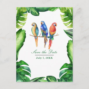 Carte Postale Faire-part Perroquets tropicaux Oiseaux et Feuilles Enregistr