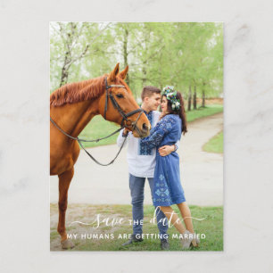 Carte Postale Faire-part Photo Cheval Personnalisé Mariage Animaux De Compa