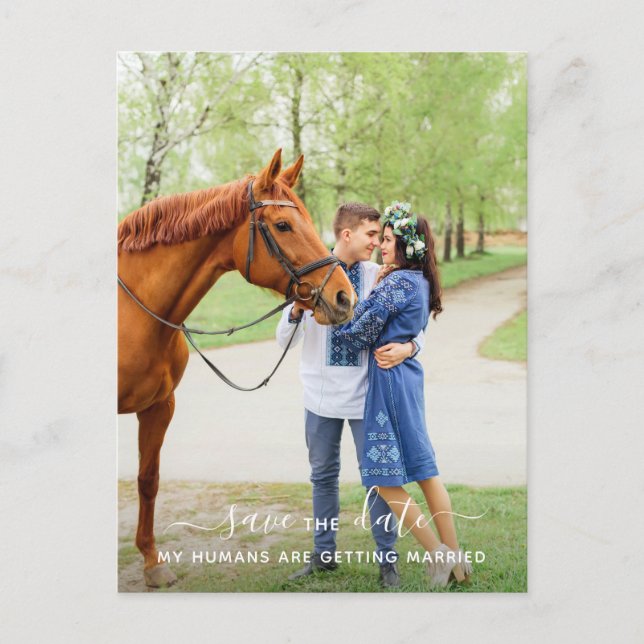Carte Postale Faire-part Photo Cheval Personnalisé Mariage Animaux De Compa (Devant)