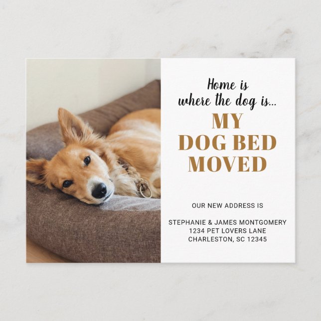 Carte Postale Faire-part Photo de chien drôle Personnalisé Déménagement d'a (Devant)