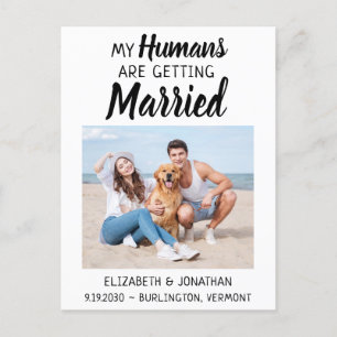 Carte Postale Faire-part Photo moderne Mariage Chien Enregistrer La Date