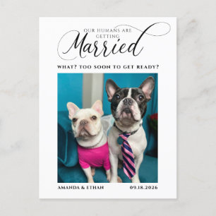 Carte Postale Faire-part Photo Our Humans Getting Married Save the Date