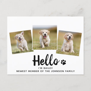 Carte Postale Faire-part Photo pour animaux de compagnie Hello Chien chiot