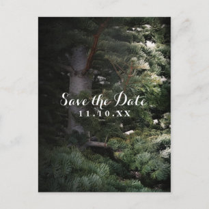 Carte Postale Faire-part Pine Tree Rustic Forest Woods Save the Date Party