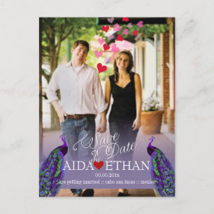 Carte Postale Faire-part PixDezines photo+paon/enregistrer la date