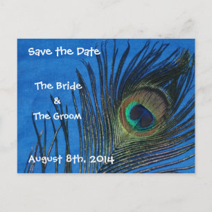 Carte Postale Faire-part Plumes de paon bleu simple Enregistrer la date Car