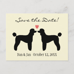 Carte Postale Faire-part Poodles Standard Noirs Mariage Économisez la Date