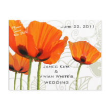 Poppies Deco Shawn