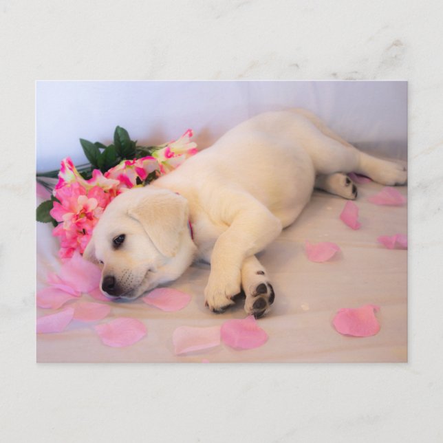 Carte Postale Faire-part Puppy Sleep Flower 01 (Devant)