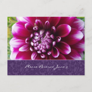 Carte Postale Faire-part Purple Fuschia Dahlia Enregistrer la date