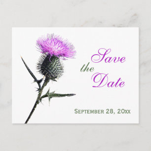 Carte Postale Faire-part Purple Green White Thistle Enregistrer la date Car