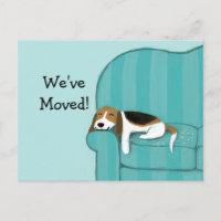 Rappel Annonce Chien Mignon Beagle Canapé Heureux