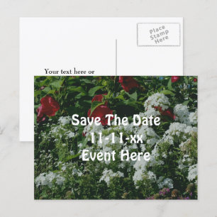 Carte Postale Faire-part Réservez la date Jardin de fleurs de Phlox d'Hibis