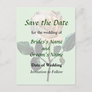 Carte Postale Faire-part Rose Blanche Délicate Enregistrer la Date