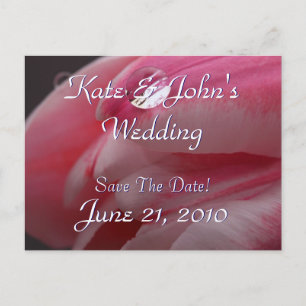 Carte Postale Faire-part Rose rose rose