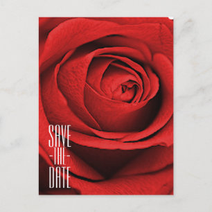 Carte Postale Faire-part Rose Rouge Blanche (Toute Couleur) Glam Enregistre