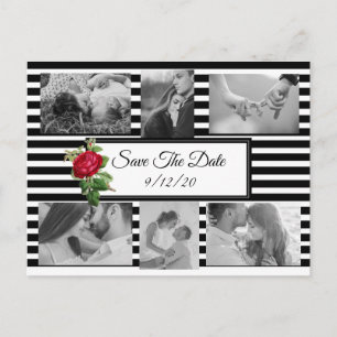 Carte Postale Faire-part Rose rouge noire et blanche Enregistrer la date Ca